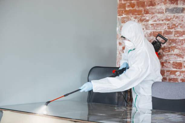 Best Emergency Mold Remediation  in Sky Valley, CA